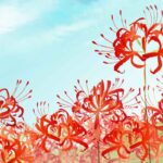 秋彼岸の季節が近づいています